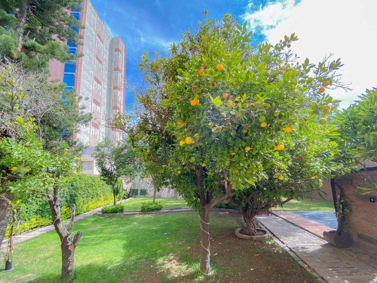 Azabu Hotel Collection San Luis Potosí Buitenkant foto